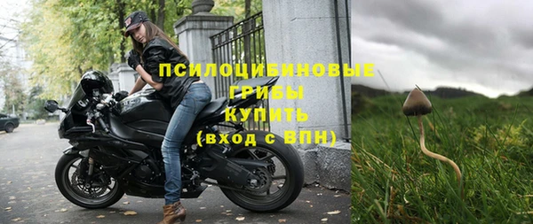 дживик Арсеньев