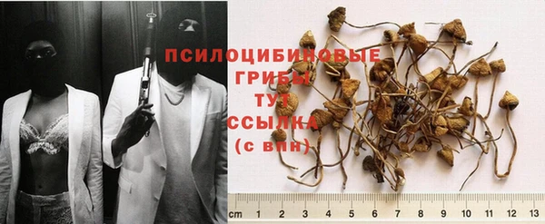 дживик Арсеньев